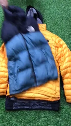 Retro collection The North face Puffers